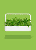 Click & Grow Smart Garden 9 Indoor Herb & Veg Growing Kit with Tomato, Basil & Chilli Pods (White)